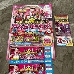 さくらサーカス　ポップサーカス　チケット