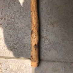 杖　仙人　自然木　木刀の画像