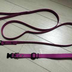 ペット  水遊び用リード&首輪