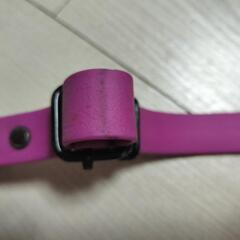 ペット  水遊び用リード&首輪の画像