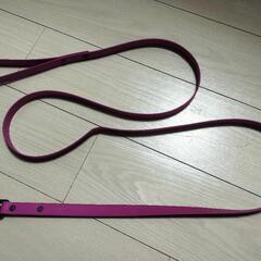 ペット  水遊び用リード&首輪の画像