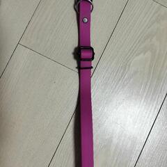 ペット  水遊び用リード&首輪の画像