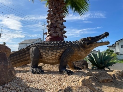 ワニ フィギュア ロックガーデン