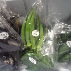 新鮮野菜コーナー7月26日の品出し予定です。