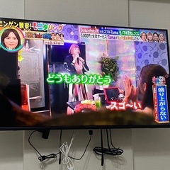 【2023年】43型液晶テレビ