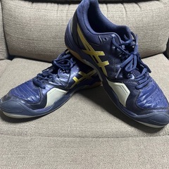 ハンドボールシューズ27.0