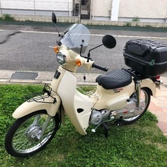 カブ　AA09