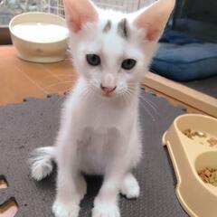 6月3日生まれ まろ眉くんと前髪くん