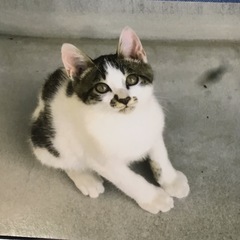 　どなたか家族に迎えてください。