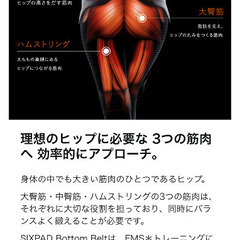 シックスパッド　ボトムベルトの画像