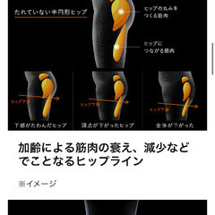シックスパッド　ボトムベルトの画像
