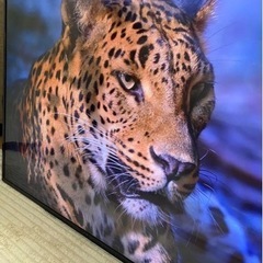 TOSHIBA REGZA 4K 43V スマートテレビの画像