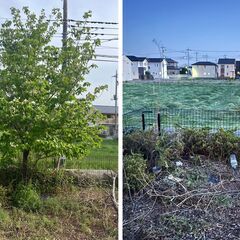 草刈り伐採　便利屋業作業員募集してます！の画像