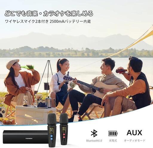 カラオケセット 拡声器 ワイヤレスマイク2本付き PAセット ワイヤレスステレオ対応