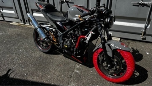 YZF-R25 ストリートファイター仕様　レーサースペック