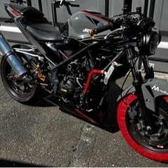 YZF-R25 ストリートファイター仕様　レーサースペック