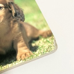 350シリーズ絵本　6冊セット　どうぶつ、れっしゃ等の画像