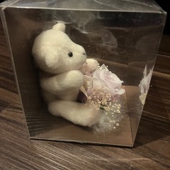 クマさん。箱から出たことがありませんの画像