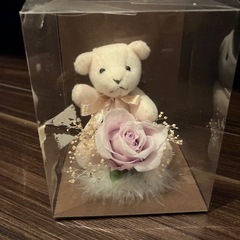 クマさん。箱から出たことがありません