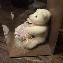 クマさん。箱から出たことがありませんの画像