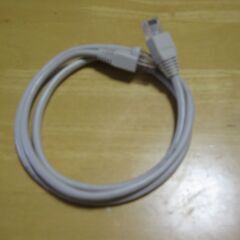 LANケーブル 1m 爪折れ防止付き 未使用