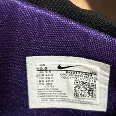 レブロン17  エッグプラントの画像