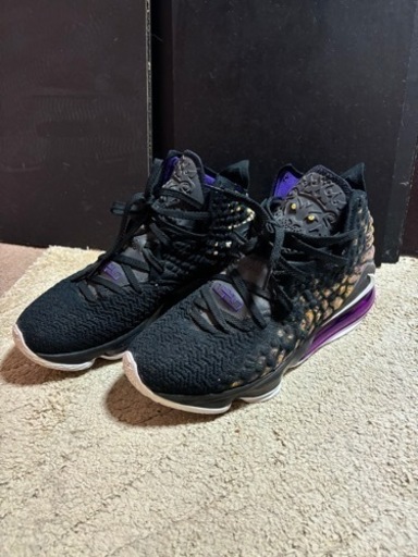 レブロン17  エッグプラント