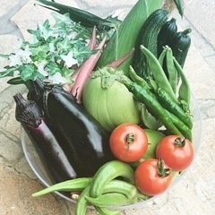 奇跡のミニトマトなど夏野菜のセット