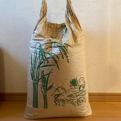 [古米30kg] 令和4年産 コシヒカリ  