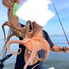 三河湾タコ釣り（ボート）