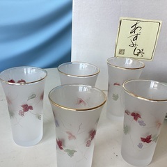2407−170 あずみ野グラスミニプレートセット　保谷謹製