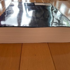 グレイ解剖学原著第2版の画像