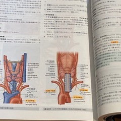 グレイ解剖学原著第2版の画像