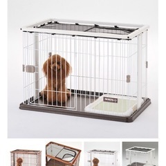 犬　小型犬　子犬　ペットサークルの画像
