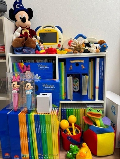 【8/10まで限定！会員アイテム特典付き】DWE 2017年　正規購入品