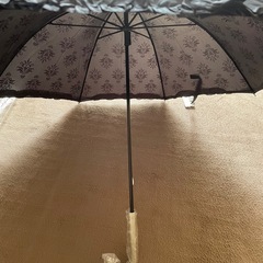 日傘の画像