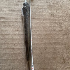 日傘の画像