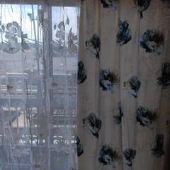 カーテン短　ニトリの画像