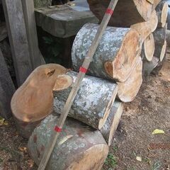嫁ぎ先きまりました。全てケヤキ玉切り、広葉樹、薪などに、、写真全部価格です。の画像