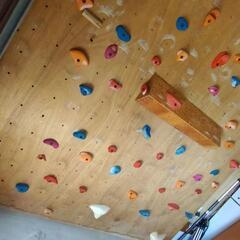 ボルダリングウォールの画像