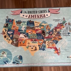 ラグ　アメリカ地図柄