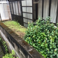 （まだまだどうぞ）残土　無料で持って行ってくださる方募集の画像