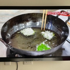 Panasonic壁掛けテレビ　VIERA TH-L42G3 お盆期間割引中