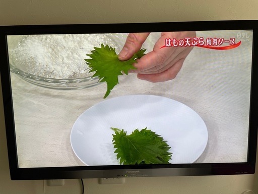 Panasonic壁掛けテレビ VIERA TH-L42G3 お盆期間割引中