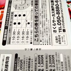 さくらサーカス　４枚お話し中の画像
