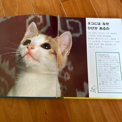 家庭保育園　なぜなにブック　22巻セット　日本学校図書株式会社の画像