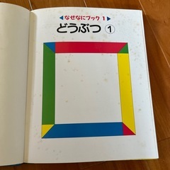 家庭保育園　なぜなにブック　22巻セット　日本学校図書株式会社の画像