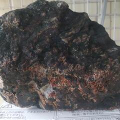 日本の自然の美！菊花石の画像