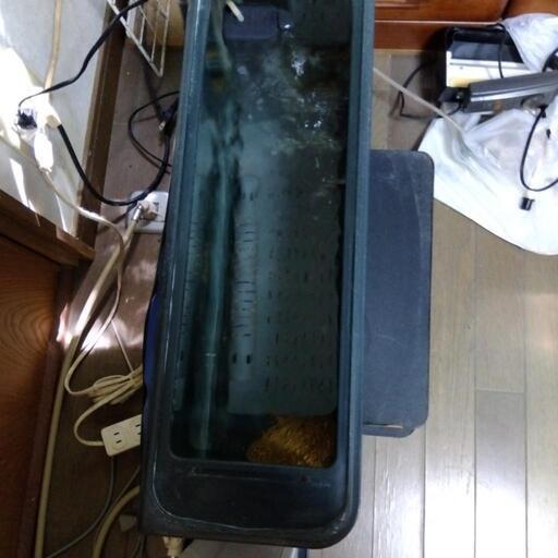 水槽セット