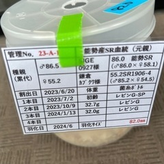 オオクワガタ　新成虫　オス82.0mm 　メス51.8mm